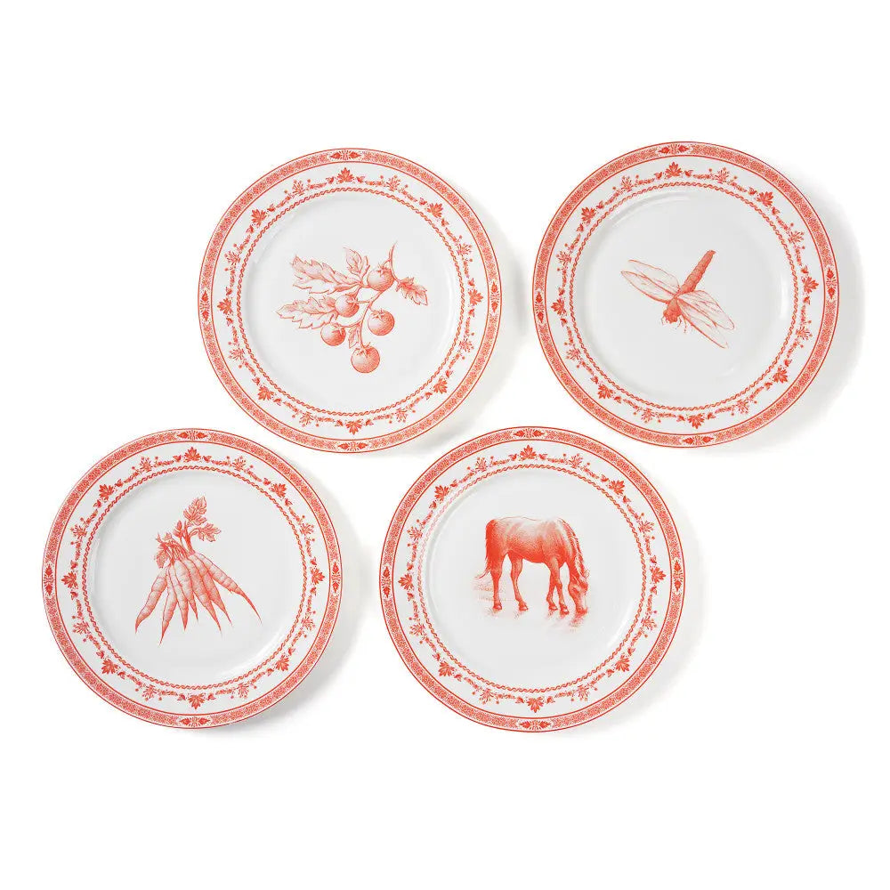 Red & White Farm Fresh Dinner Plates Set of 4 with Giftbox