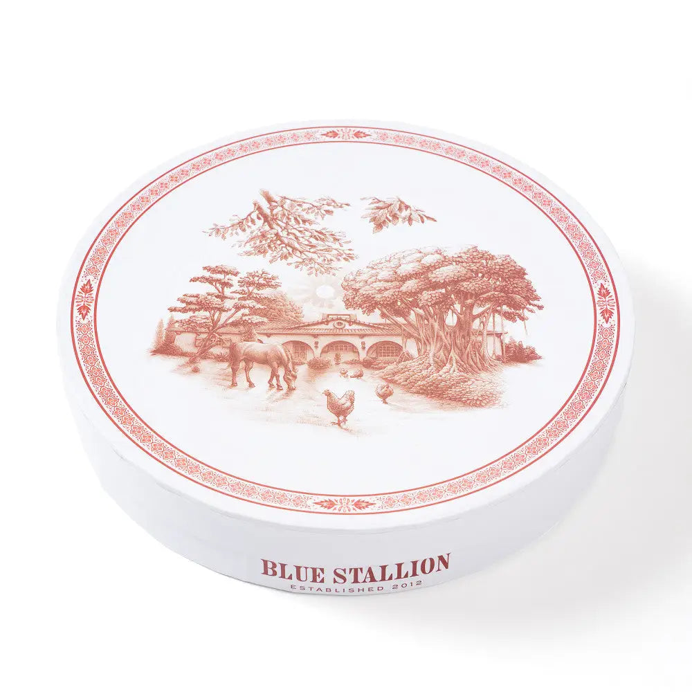 Red & White Rose Garden Salad Plates Set of 4 with Giftbox