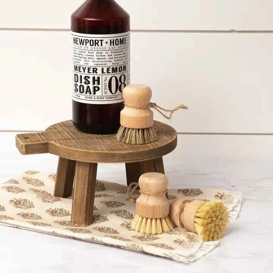 Mini Scrub Brush Set (Pk/03 Ast)